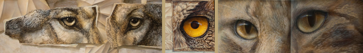 paintings of owl-eyes